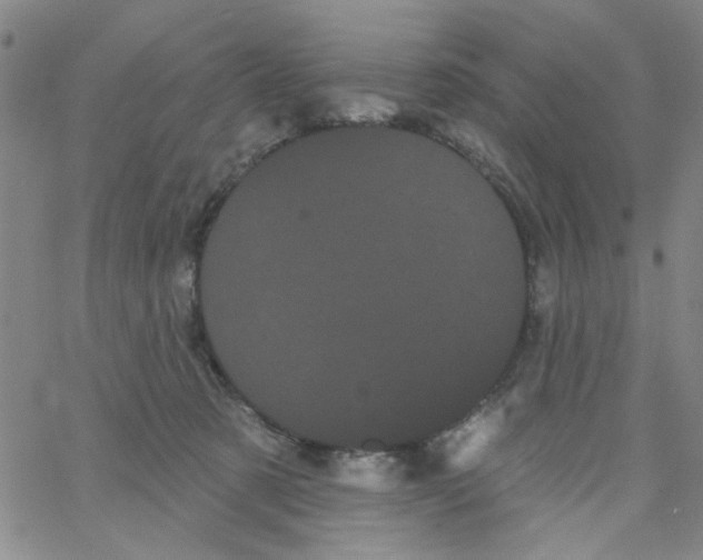 X0000066120321200604071918