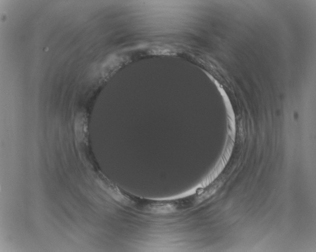 X0000066120322200604071918