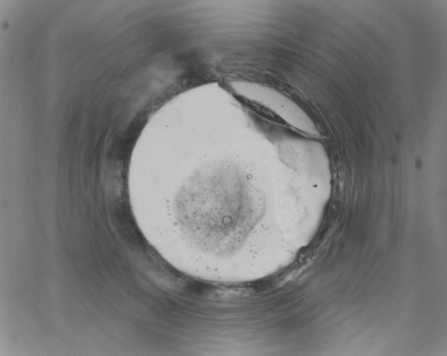 X0000066120323200604071918