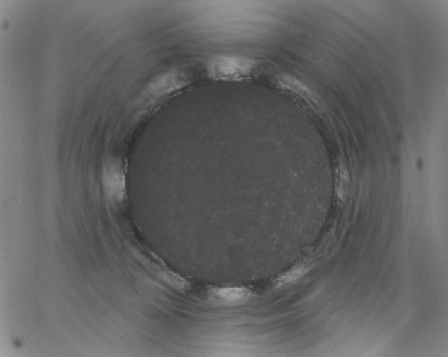 X0000066120324200604071918