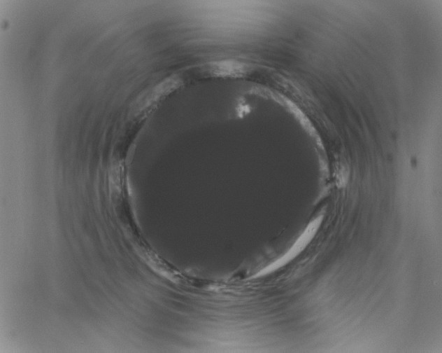 X0000066120325200604071918