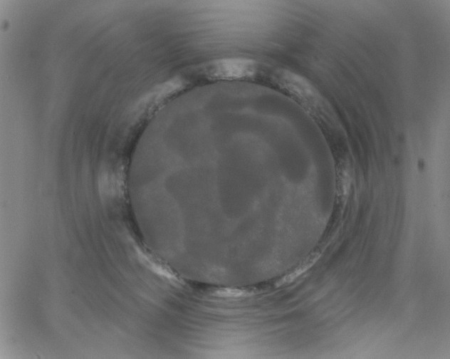 X0000066120326200604071918