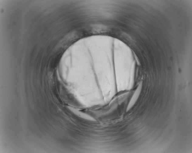 X0000066120327200604071918