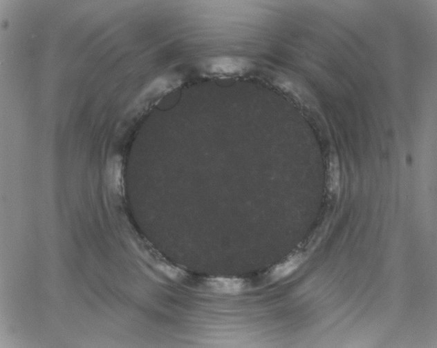 X0000066120328200604071918