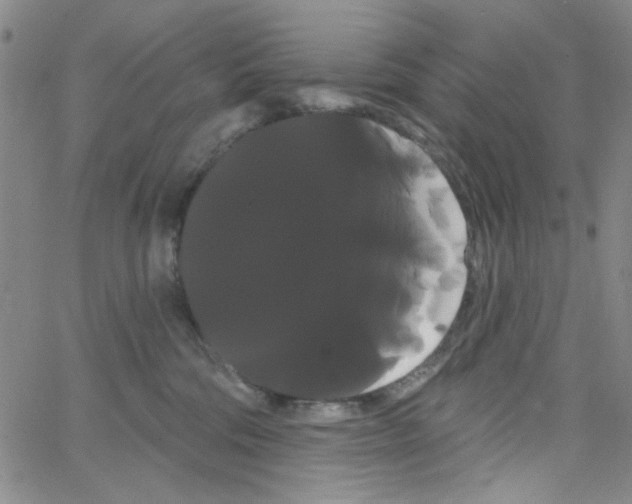 X0000066120330200604071918