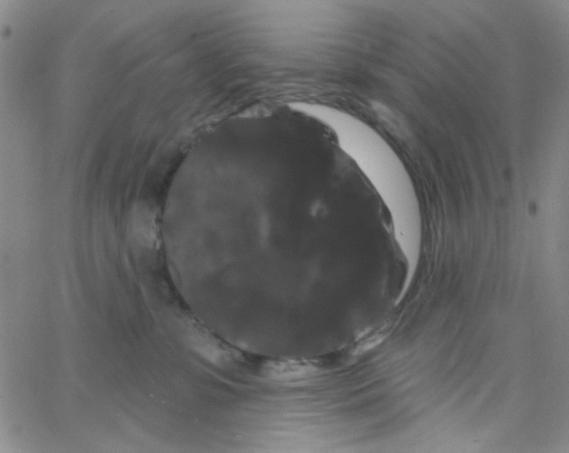 X0000066120331200604071918