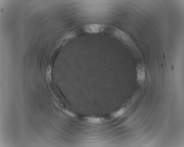 X0000066120332200604071918