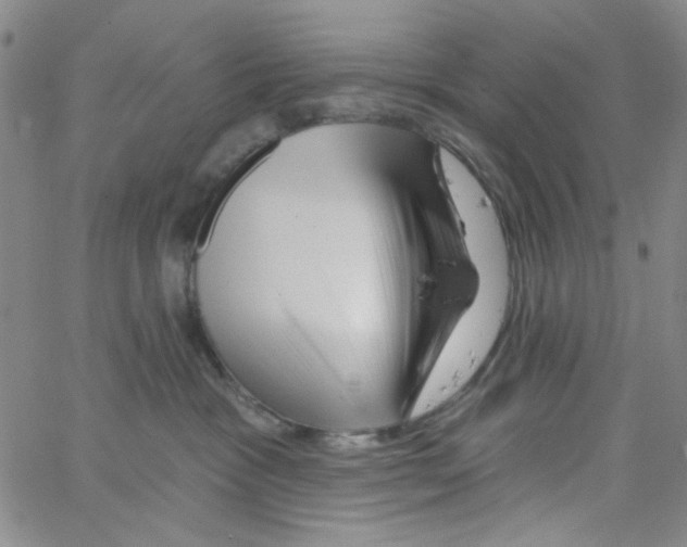 X0000066120333200604071918