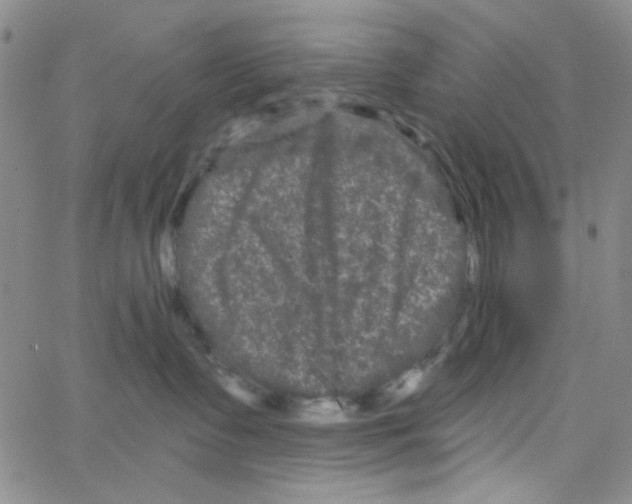 X0000066120335200604071918