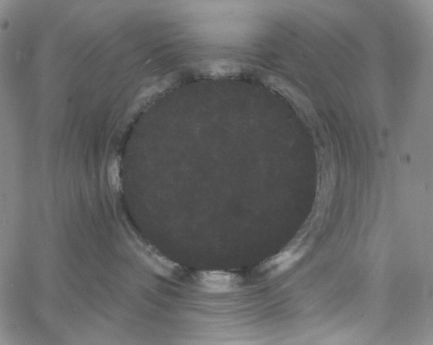 X0000066120336200604071918