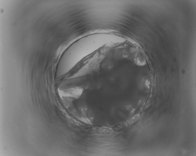 X0000066120337200604071917