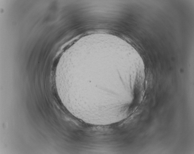 X0000066120338200604071917