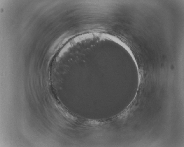 X0000066120339200604071917