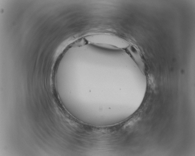 X0000066120340200604071917