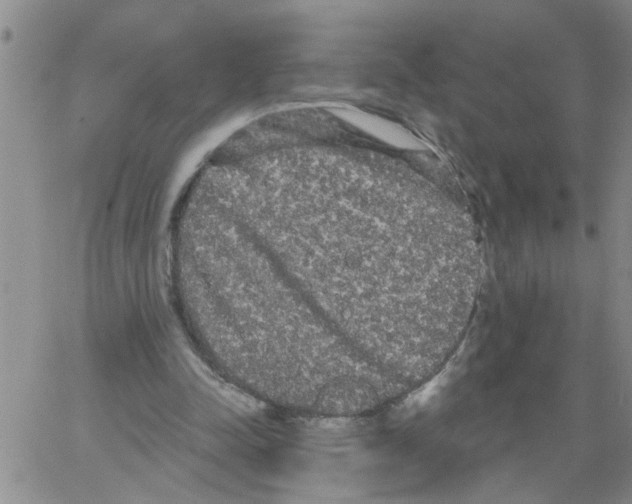 X0000066120342200604071917