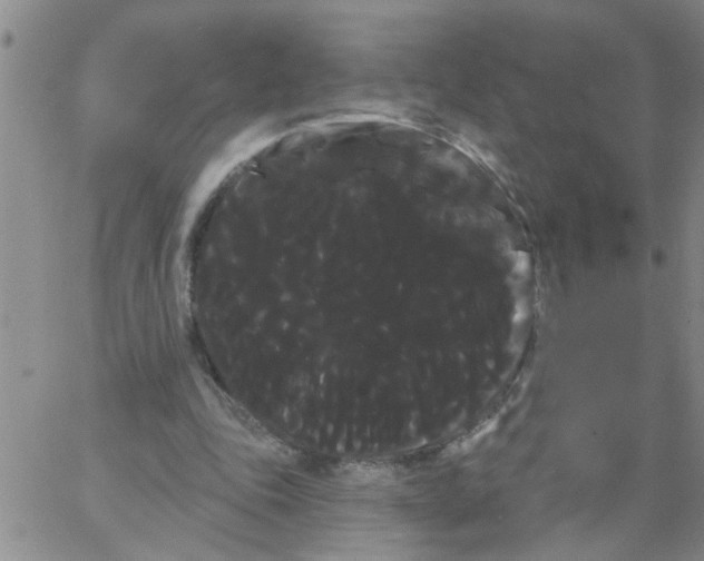 X0000066120343200604071917