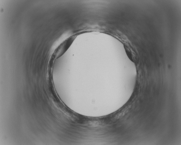 X0000066120344200604071917