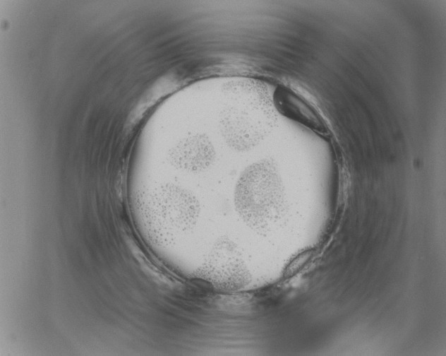 X0000066120345200604071917