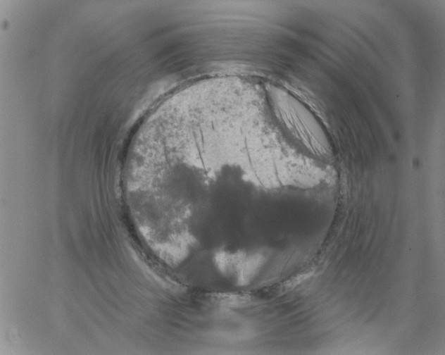 X0000066120347200604071917