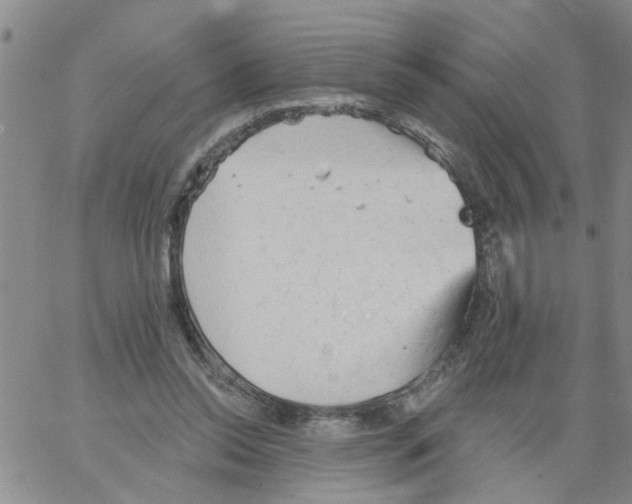 X0000066120350200604071918