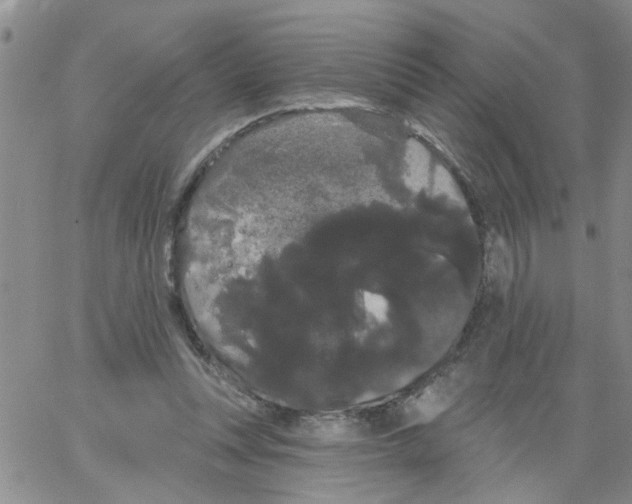 X0000066120351200604071918