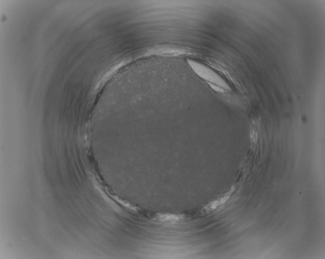 X0000066120352200604071918