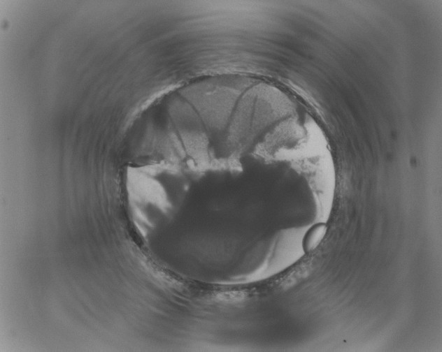 X0000066120353200604071918