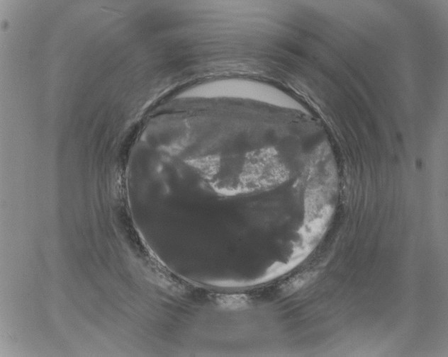 X0000066120355200604071918