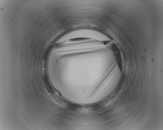 X0000066120356200604071918