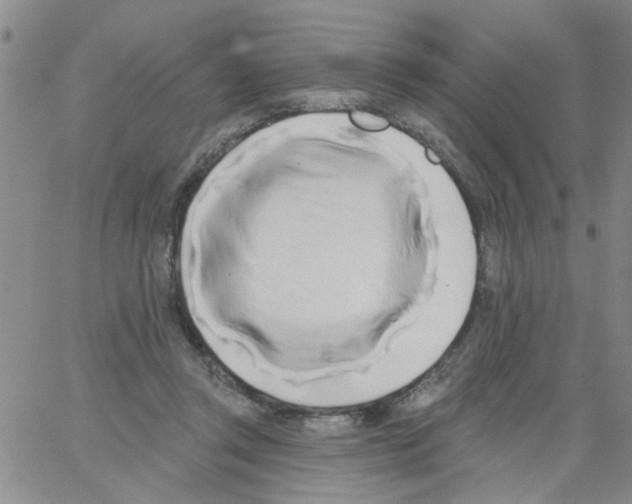 X0000066120357200604071918