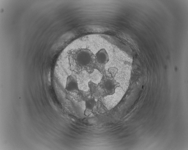 X0000066120358200604071918