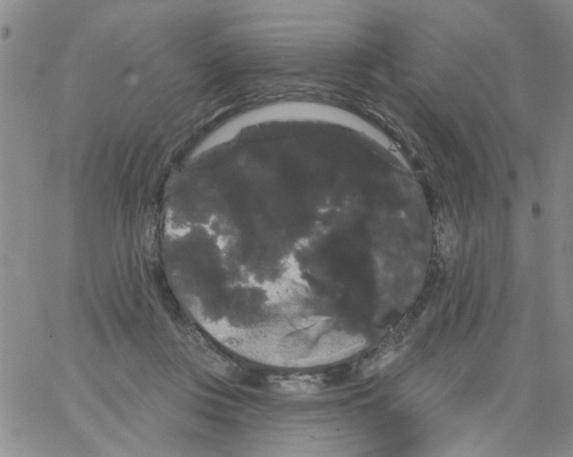 X0000066120359200604071918