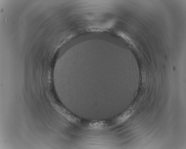 X0000066120362200604071918