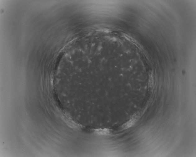 X0000066120363200604071918