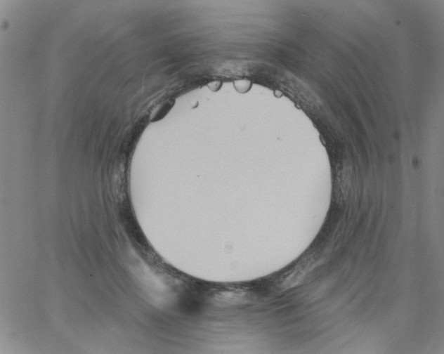 X0000066120364200604071918