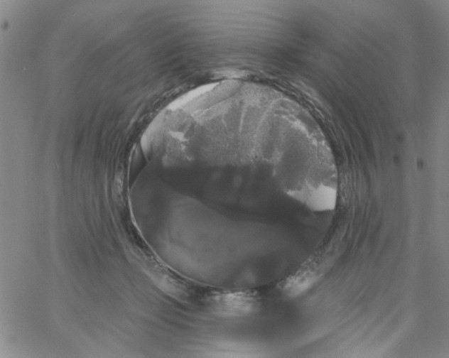 X0000066120365200604071918