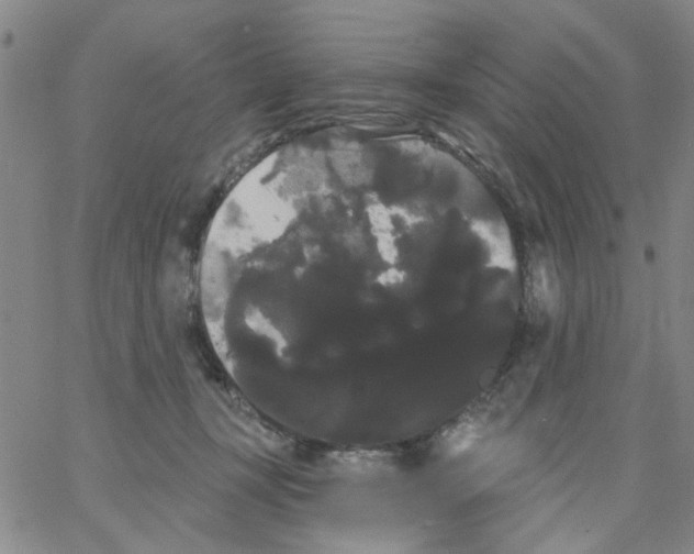 X0000066120367200604071918