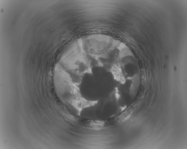 X0000066120369200604071918