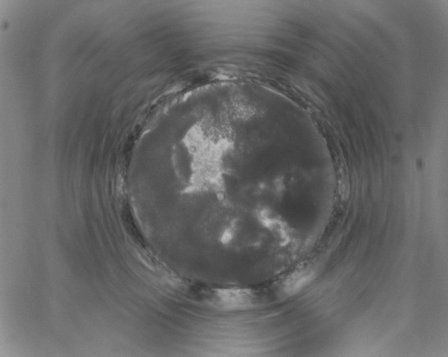 X0000066120371200604071918