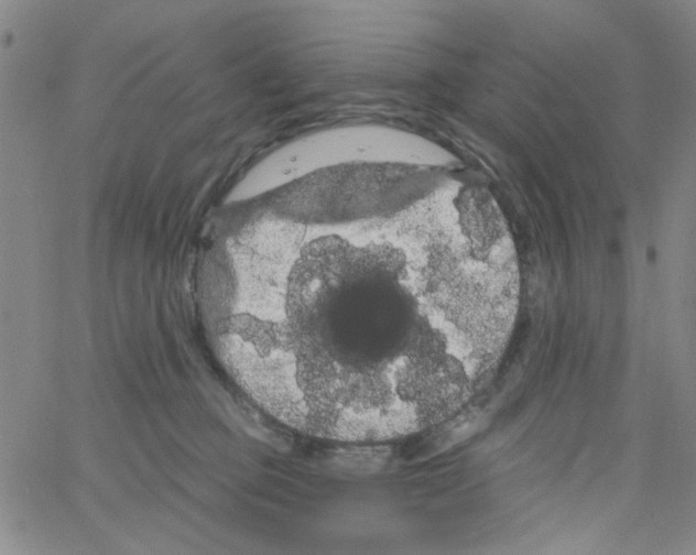 X0000066120373200604071918