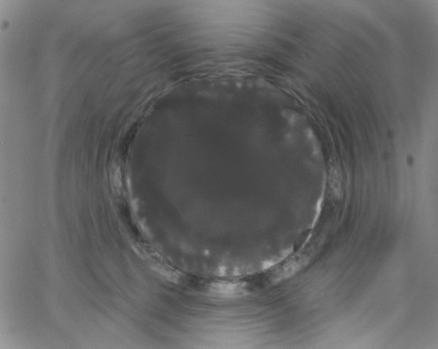 X0000066120375200604071918