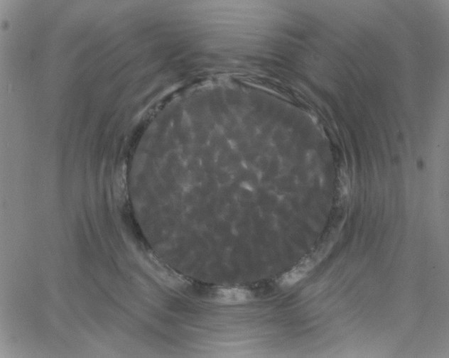 X0000066120376200604071918