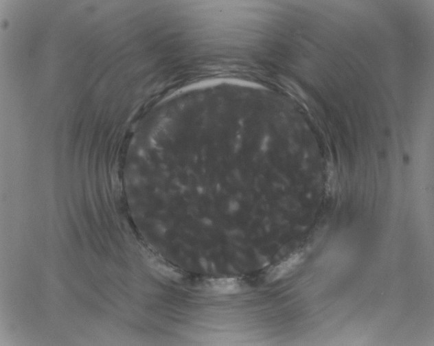 X0000066120377200604071918