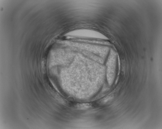 X0000066120378200604071918