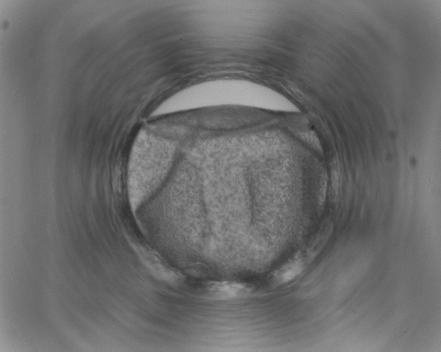 X0000066120379200604071918