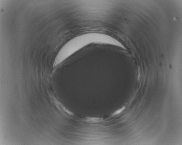 X0000066120380200604071918