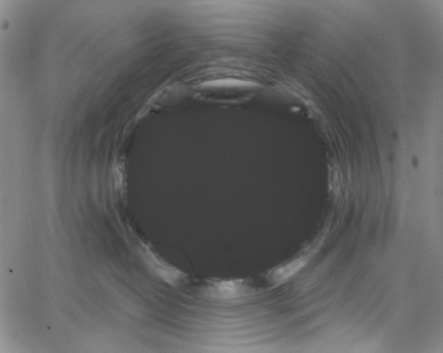 X0000066120382200604071918