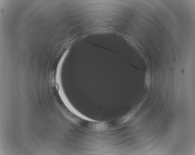 X0000066120383200604071918