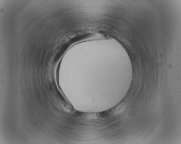 X0000066120384200604071918