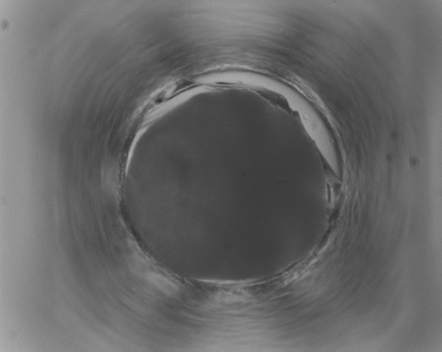 X0000066120386200604071917